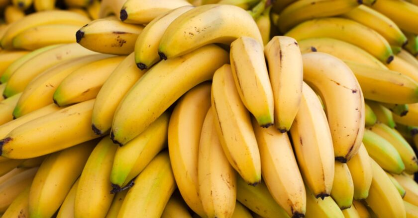 Swedish minister’s staff insist on banana-free rooms due to ‘weirdest phobia’ | World News