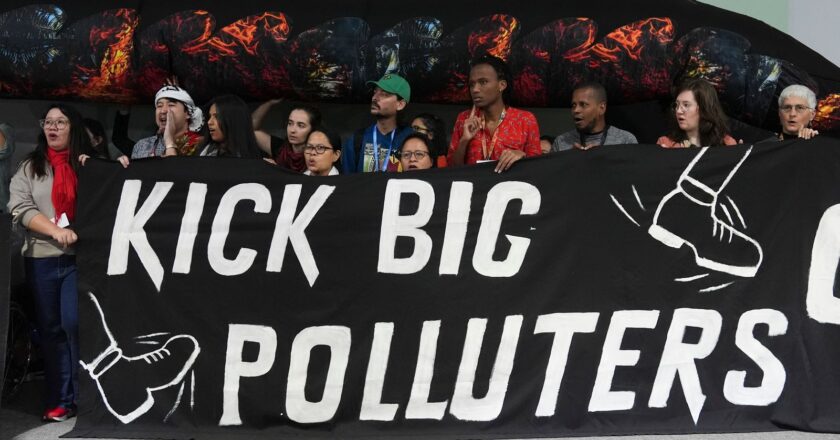 COP29: UN climate summits ‘no longer fit for purpose’, warn leading figures | Science, Climate & Tech News