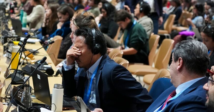 COP29 delegates leave summit with a bad aftertaste | World News