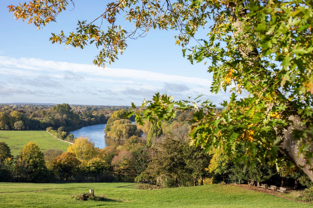 11 favourite London walks you might have missed from Brockley