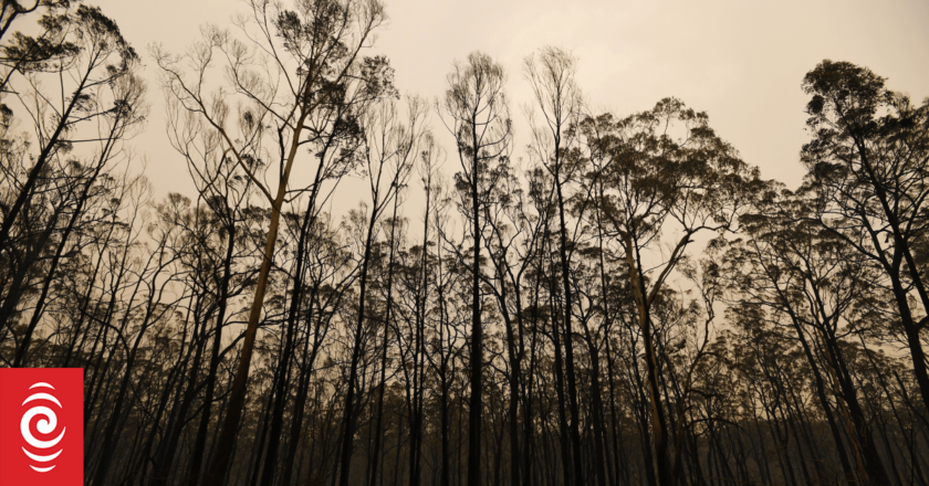Hundreds told to flee out-of-control bushfires in Australia