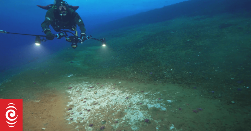 Our Changing World: New Antarctic methane seeps