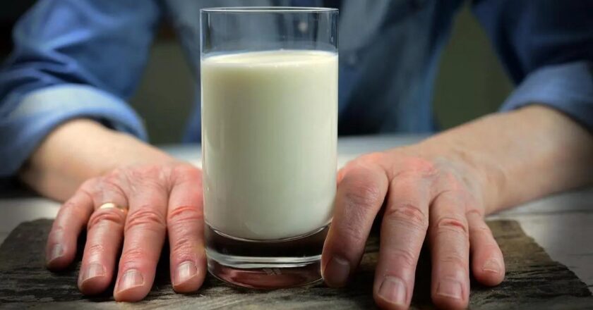 Are plant-based milks really healthy? Study finds out