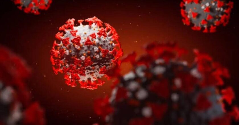 Covid virus lurks in skull and brain meninges for years after infection: Study