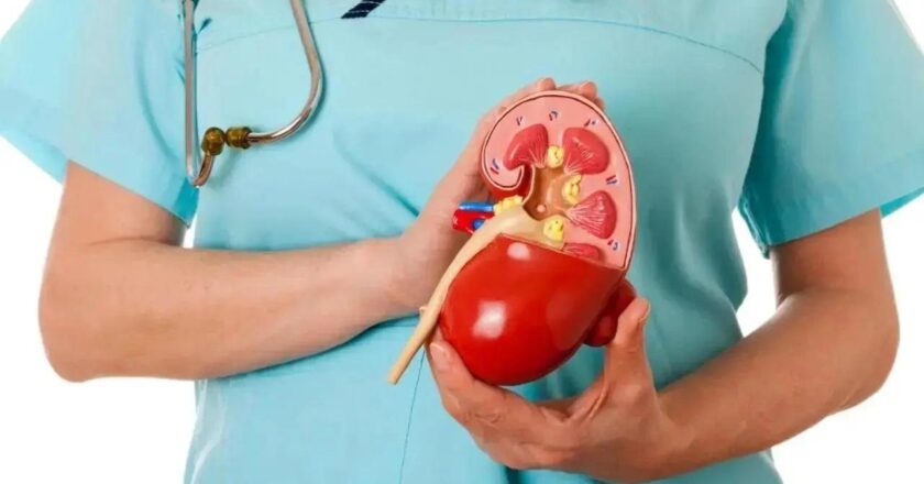 Mumbai doctors see rise of kidney stones cases among adults this winter