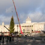 The Trafalgar Square Christmas tree: The good, the bad and the ugly