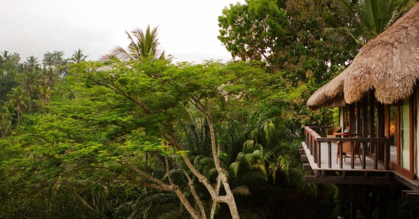 Travel insiders’ favourite hotels of 2024: the best stays from Bali to Georgia