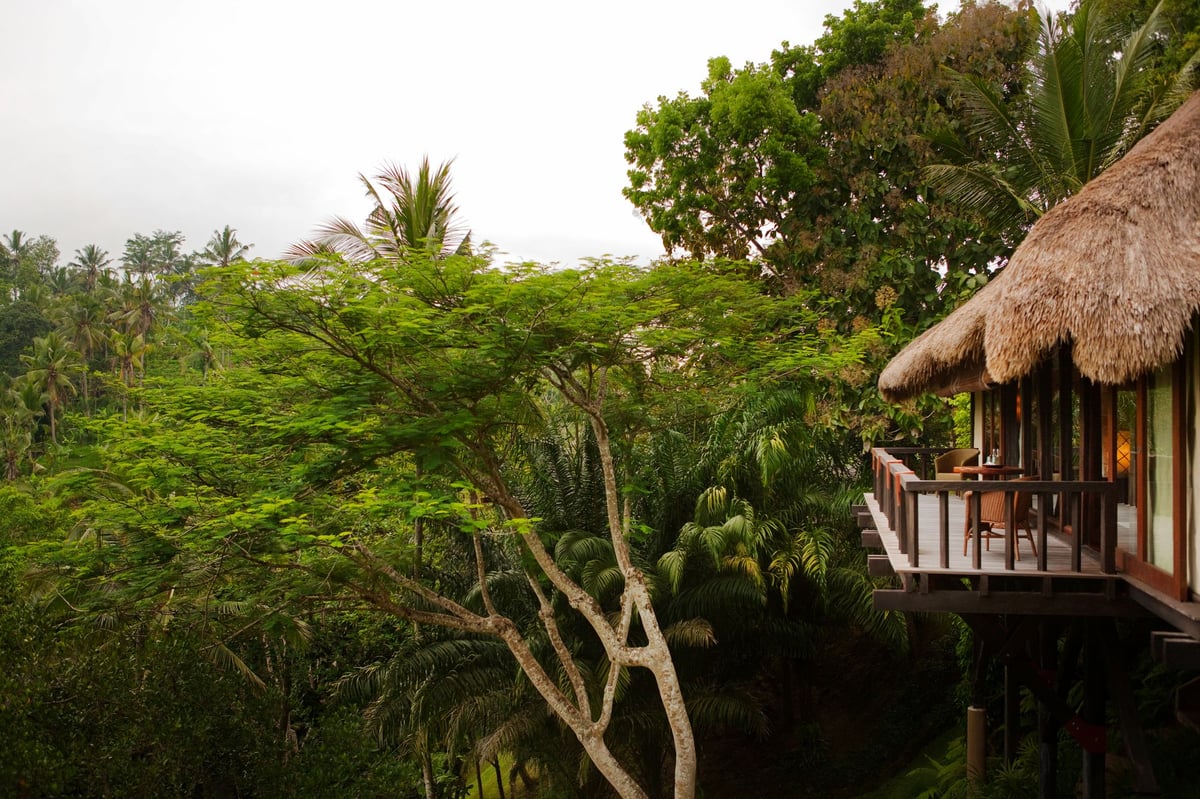 Travel insiders favourite hotels of 2024 the best stays from