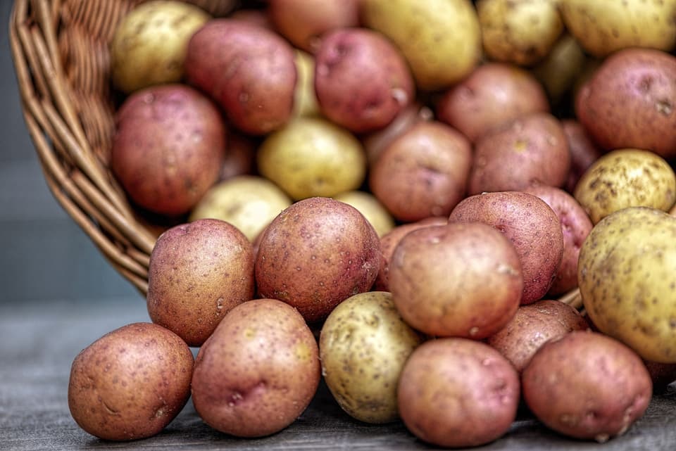 Top nutrition trends for 2025 in diet, injectables and longevity 5 1735775624 598 Top nutrition trends for 2025 in diet injectables and longevity