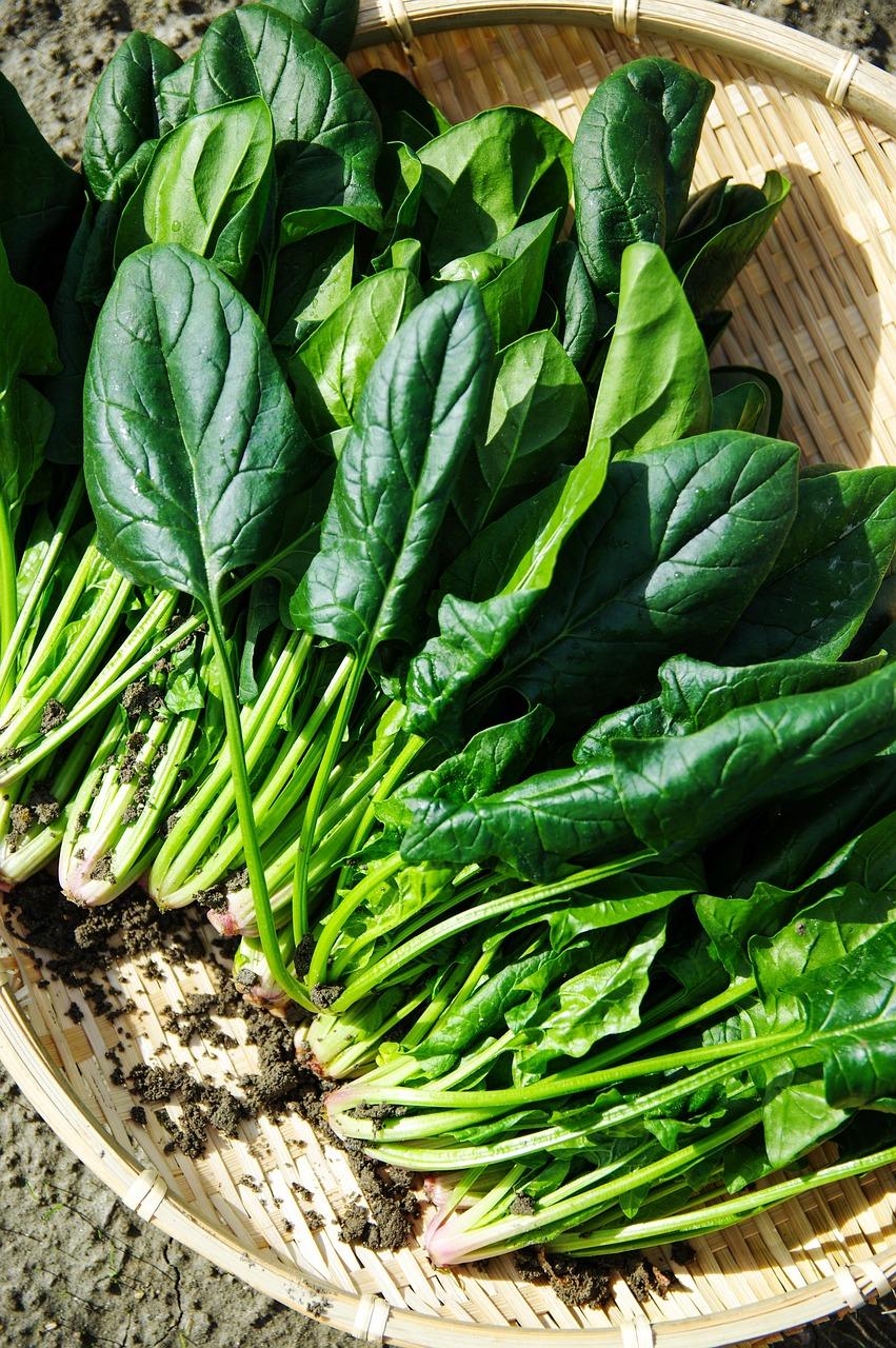 Doing Veganuary? The nutritionist's guide to getting enough calcium, iron and protein 2 Doing Veganuary The nutritionists guide to getting enough calcium iron