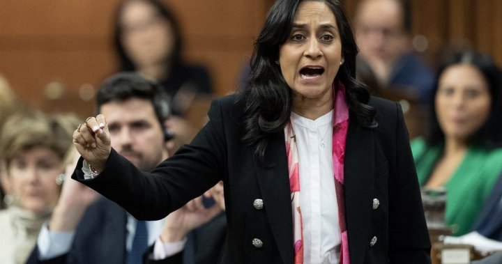 Transport Minister Anita Anand says she’s running for re-election – National