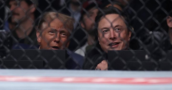 Trump says he expects Musk to find billions in Pentagon waste – National