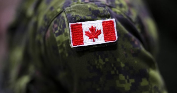 What would it take for Canada to hit 2% defence spending NATO target? – National