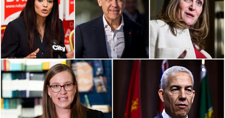 Liberal leadership candidates set to clear final hurdle to stay in race – National