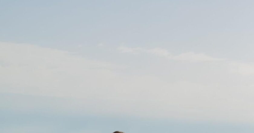 SHA Wellness Mexico: Why the celebrity loved medical spa is the perfect winter getaway