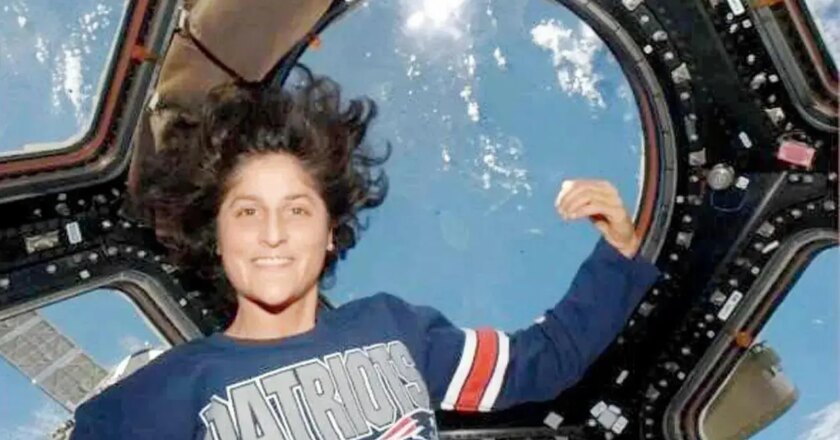 Study shows how space-stranded Sunita Williams can prevent cartilage damage