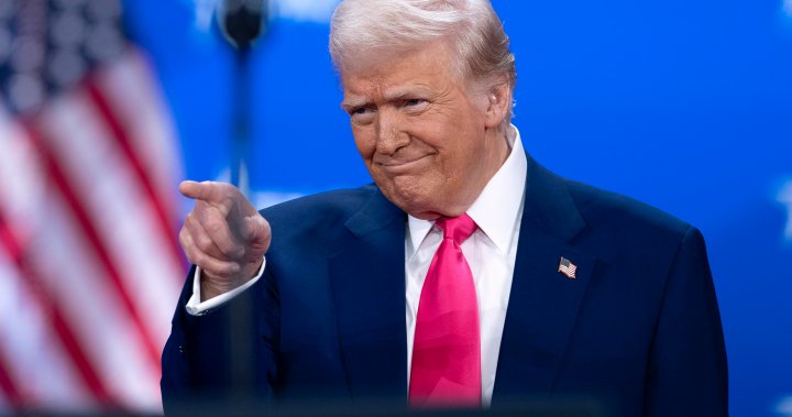 Canadians split on who is the best leader to take on Trump: poll – National