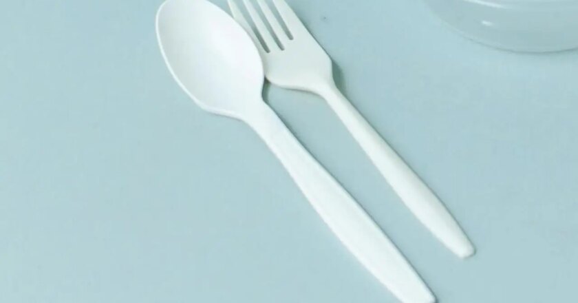 A plastic spoon`s worth of plastic is inside your brain: Study