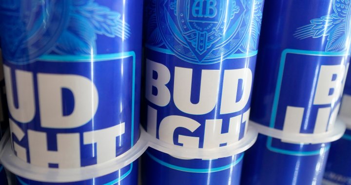 Bud light earnings