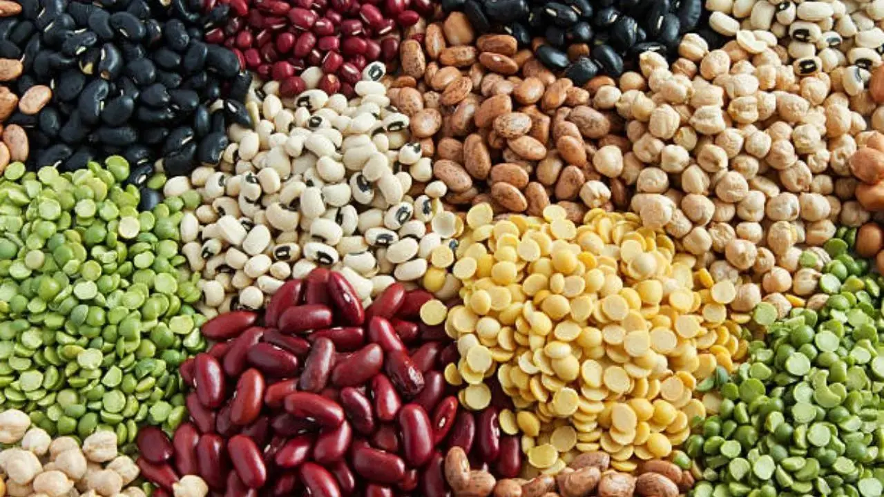 Chickpeas lentils are more nutritious than oats wheat Study