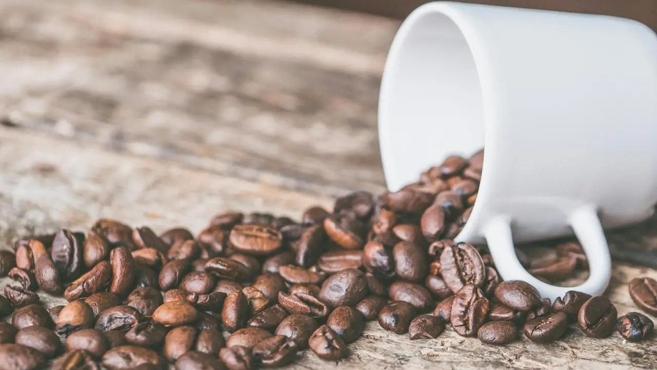 Facing high cholesterol? Your office coffee brewing machine may be a cause 2 Facing high cholesterol Your office coffee brewing machine may be