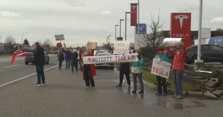 March 22 2025 Langley Tesla Protest