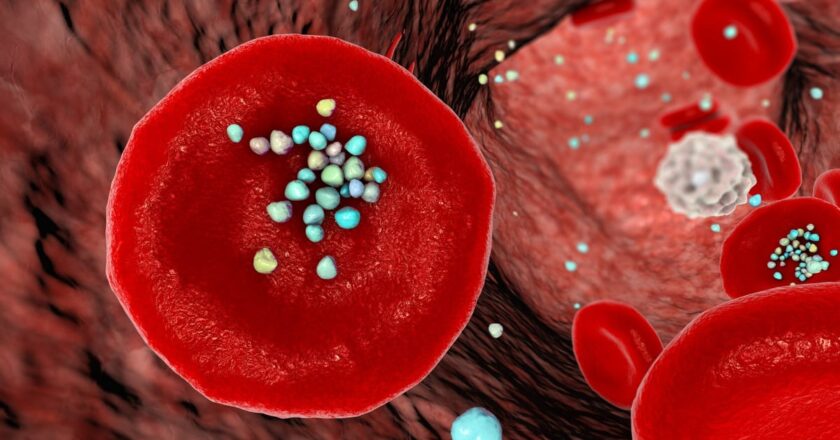 Microplastics are in our blood: can this new London clinic really get rid of them?
