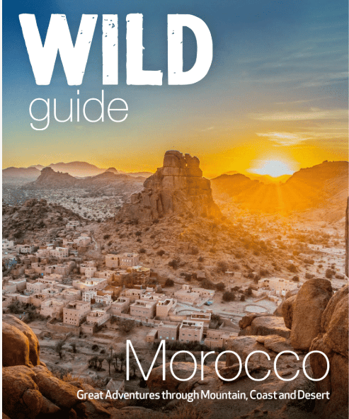 The cover of the Wild Guide: Morocco book 