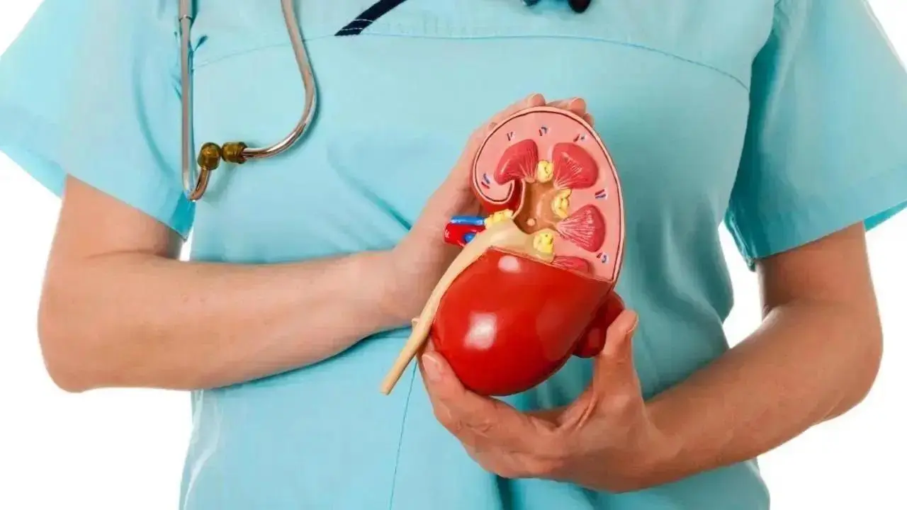 Mumbai 3 patients suffering from end stage renal disease get new