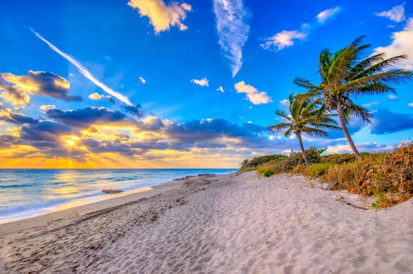 The Palm Beaches, Florida guide: What to eat, drink, see and do