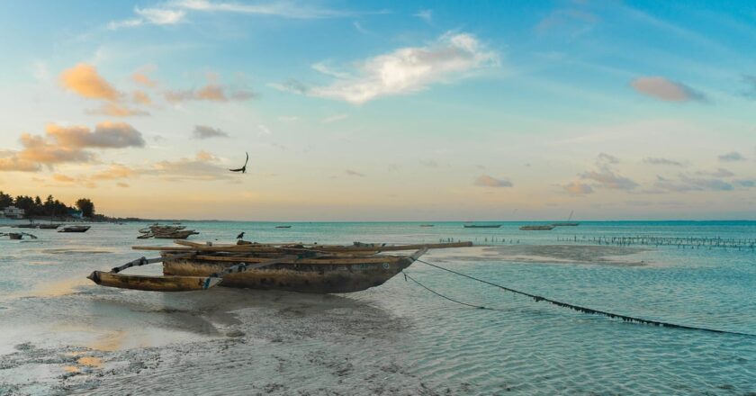 Zanzibar guide: What to eat, drink and do on the tropical archipelago