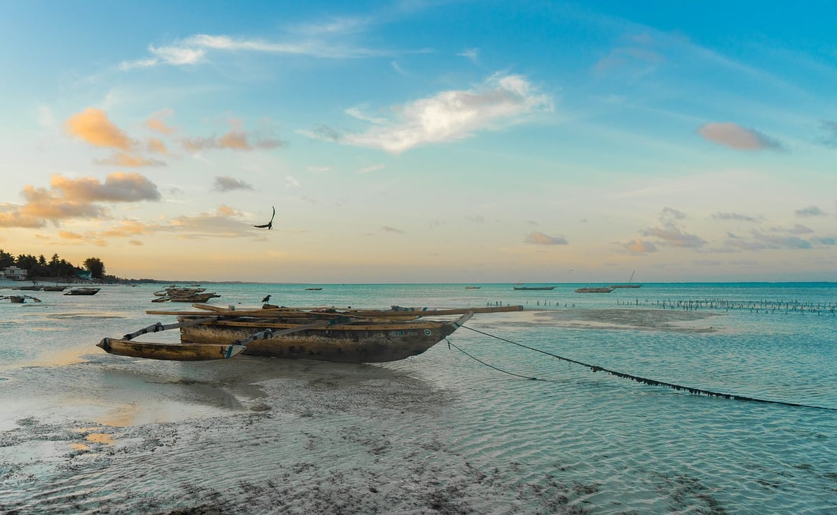 Zanzibar guide What to eat drink and do on the