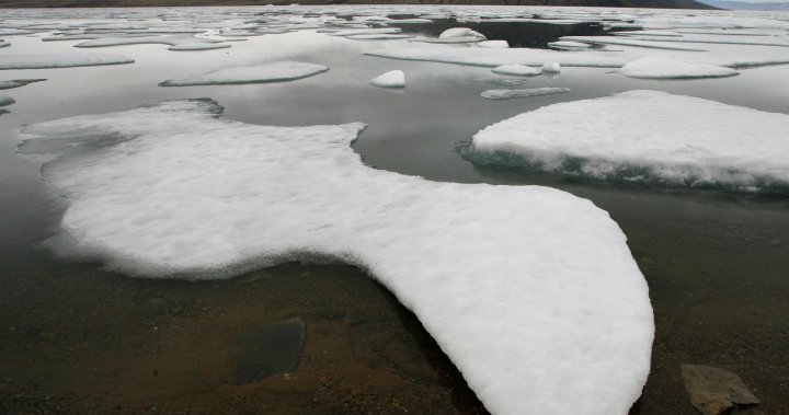 Arctic a ‘vulnerable destination’ for foreign adversaries, CSIS warns  – National