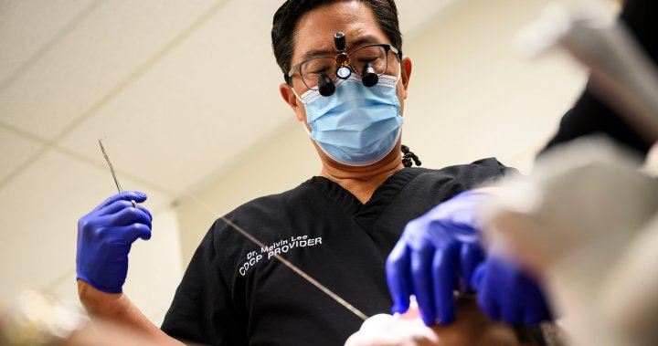 dental care plan 2