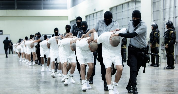 el salvador deportees