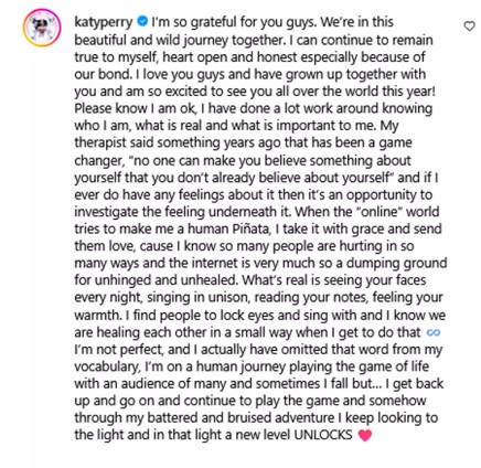 Katy Perry feels ‘battered and bruised’ by backlash post-Blue Origin flight - National 3 A screenshot of Katy Perry's Instagram comment.