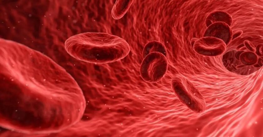 Need to raise awareness, promote early diagnosis of haemophilia: JP Nadda