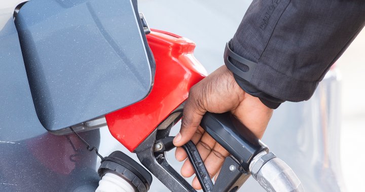 The last carbon rebate is coming. How much will Canadians get? – National