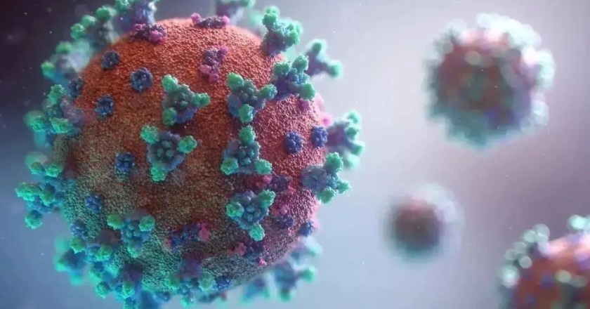 Rising Covid cases in SE Asia may be attributed to seasonal flu trends: Experts
