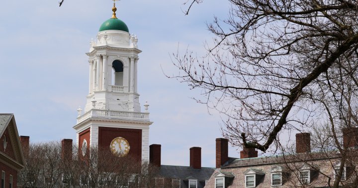 Trump Harvard