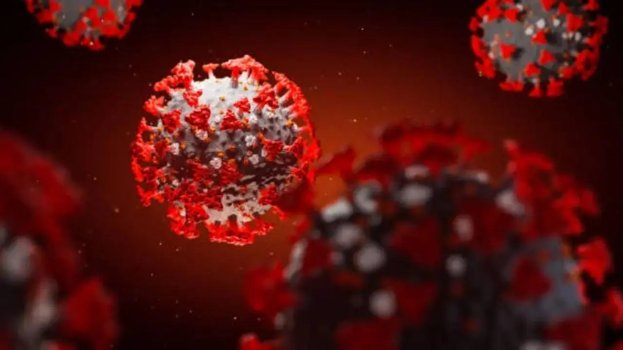 US scientists to explore potential of antibody against Long Covid