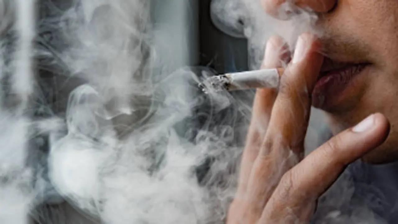 WHO Urgent action needed to ban flavoured tobacco nicotine products