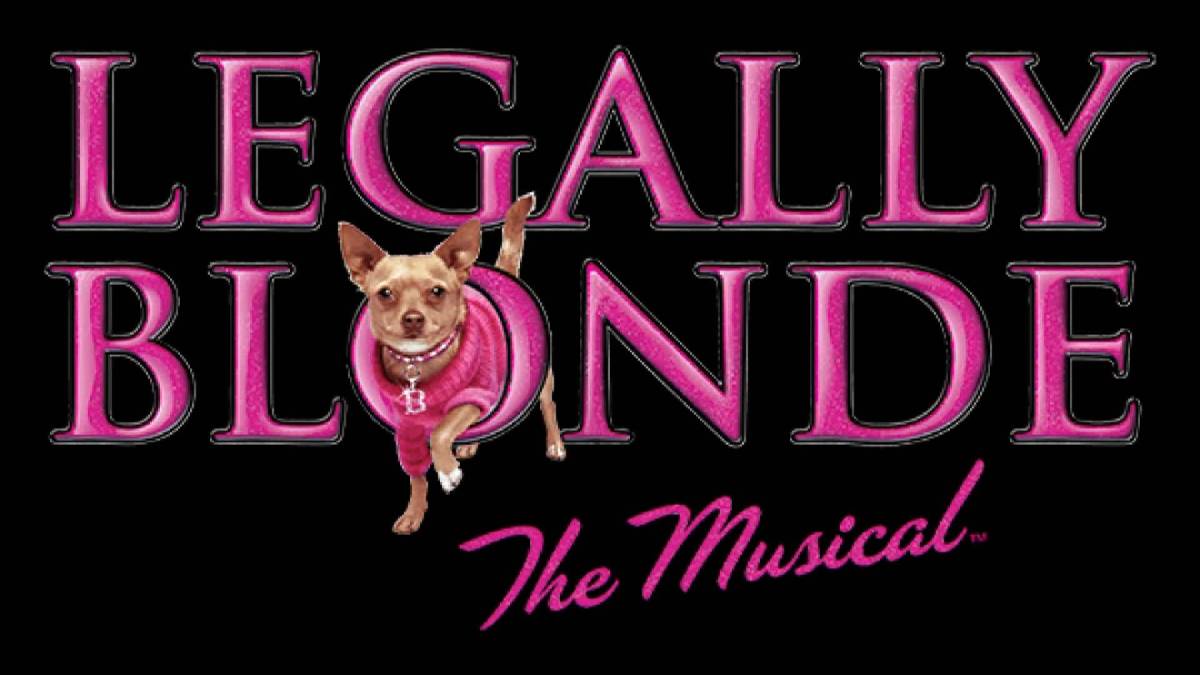 Click to play video: 'Saskatoon Summer Players presents “Legally Blonde The Musical”'