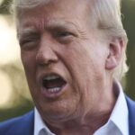 Trump says U.S. terminating trade talks with Canada ‘effective immediately’ – National
