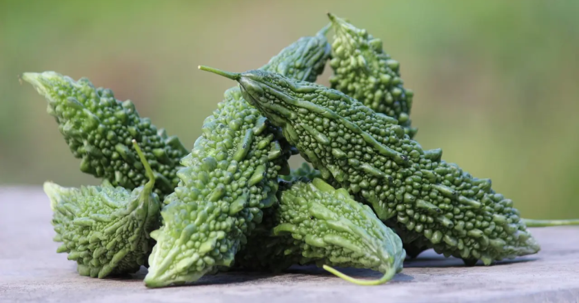 Dislike karela? Mumbai health experts highlight why you need to eat it