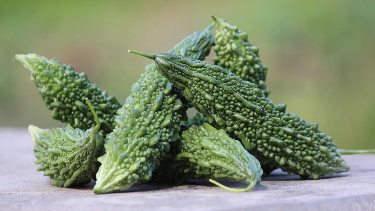 Dislike karela Mumbai health experts highlight why you need to