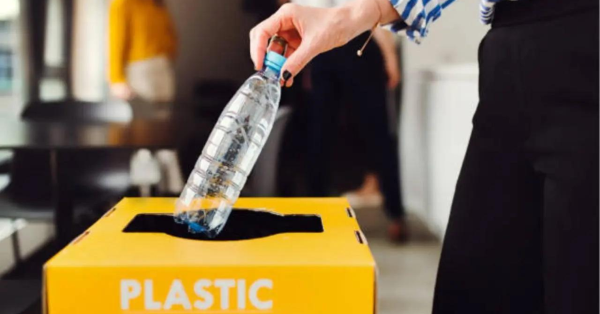 Recycled plastics may harm hormone system, metabolism: Study