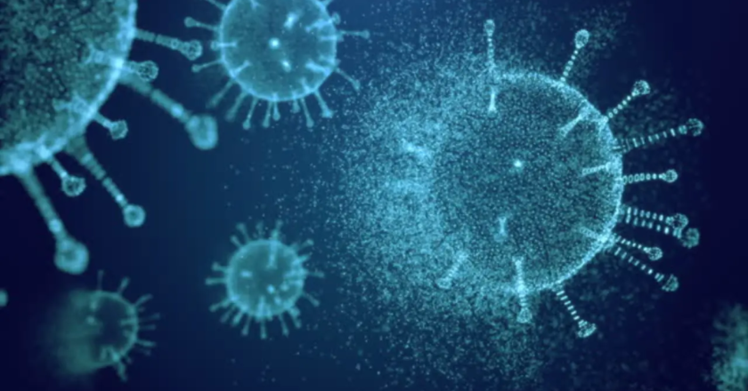 Viruses follow seasonal and yearly cycles: IIT-Madras study