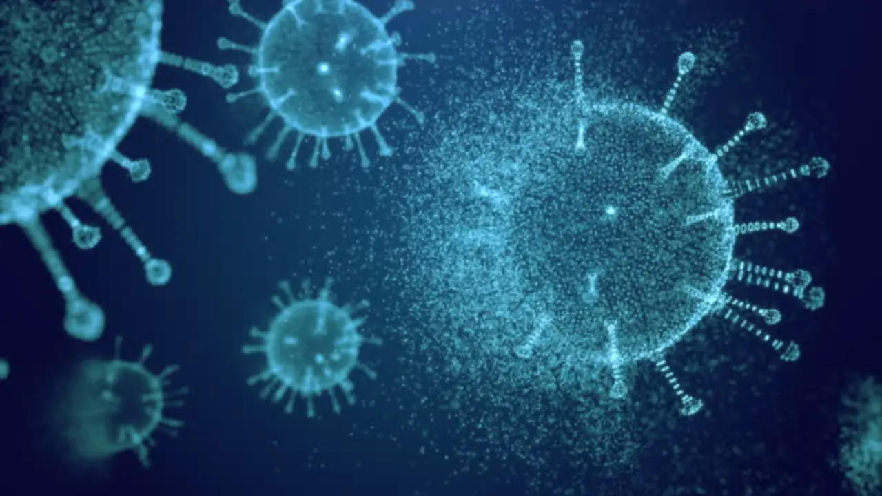 Viruses follow seasonal and yearly cycles IIT Madras study