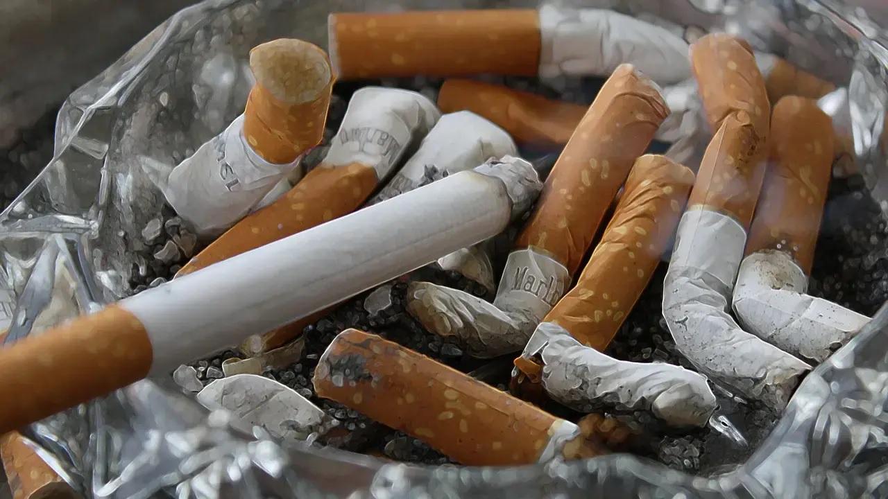 World No Tobacco Day The shocking impact of smoking on